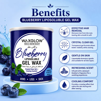 Blueberry Liposoluble Gel Wax 800ml